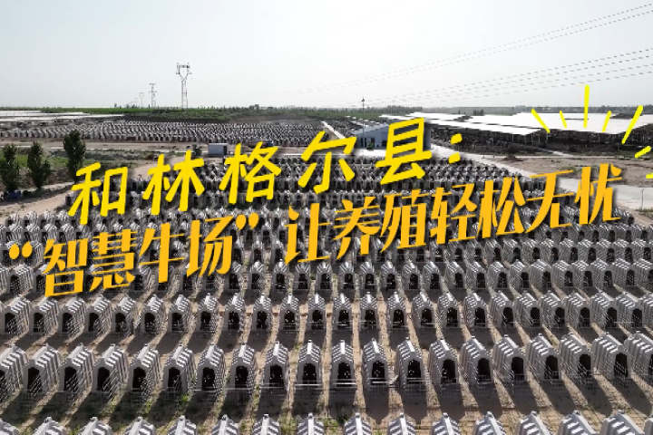 “智慧牛場”讓養牛更輕松