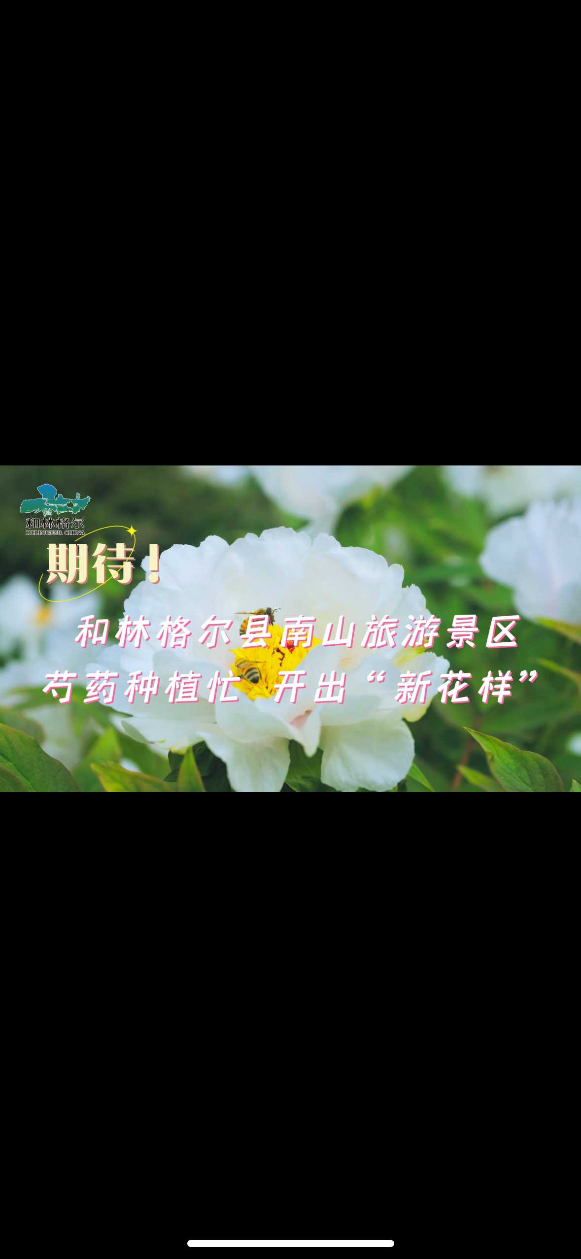 和林格爾縣南山旅游景區：芍藥種植忙 開出“新花樣”