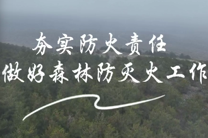夯實防火責任 做好森林防滅火工作