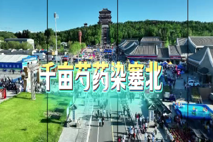 千畝芍藥染塞北